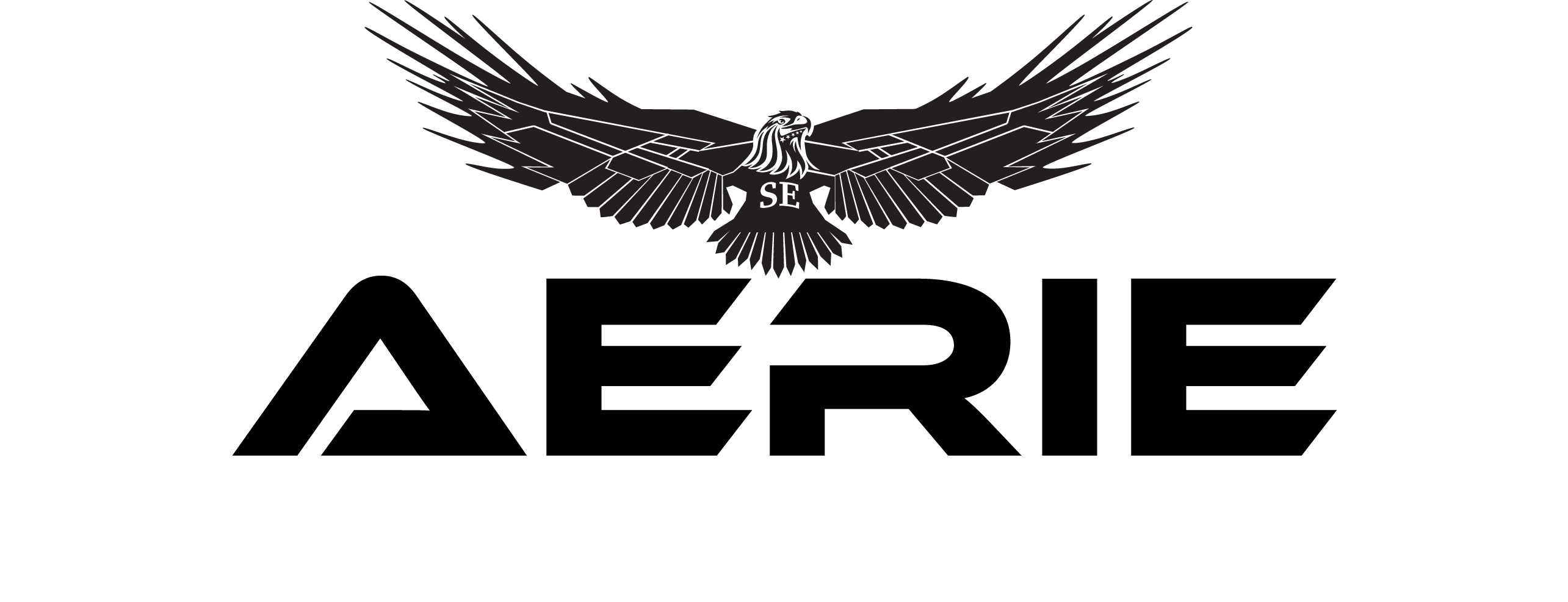 Soaring Eagle Aerie Logo