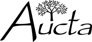 inTech Aucta Logo